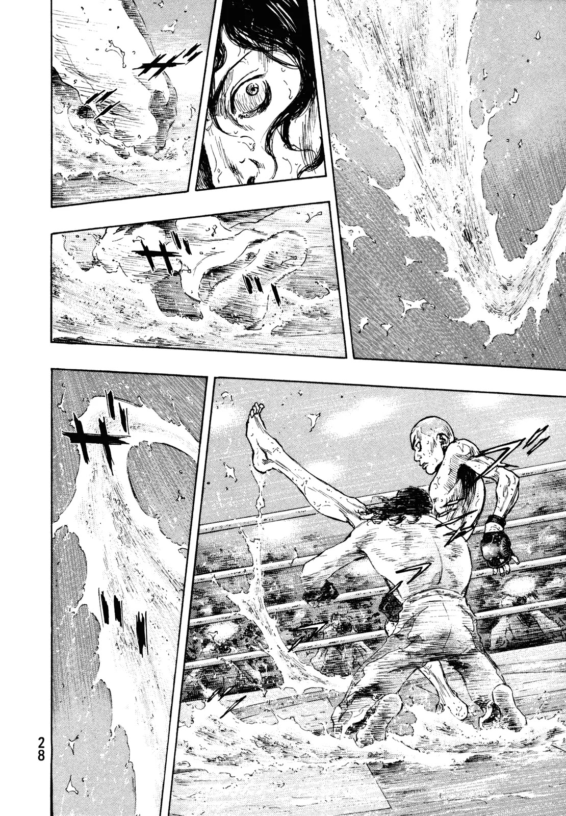 Shamo Chapter 28.73 page 4 - Vol.28 Chapter 73: Black vs. White (14)