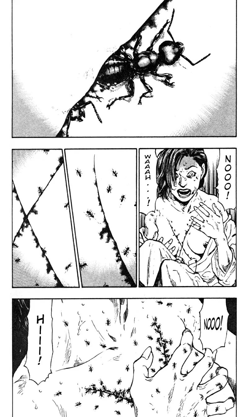 Shamo Vol.3 Chapter 26 page 14 - Vol.3 Chapter 26: Dried-Out House Plant