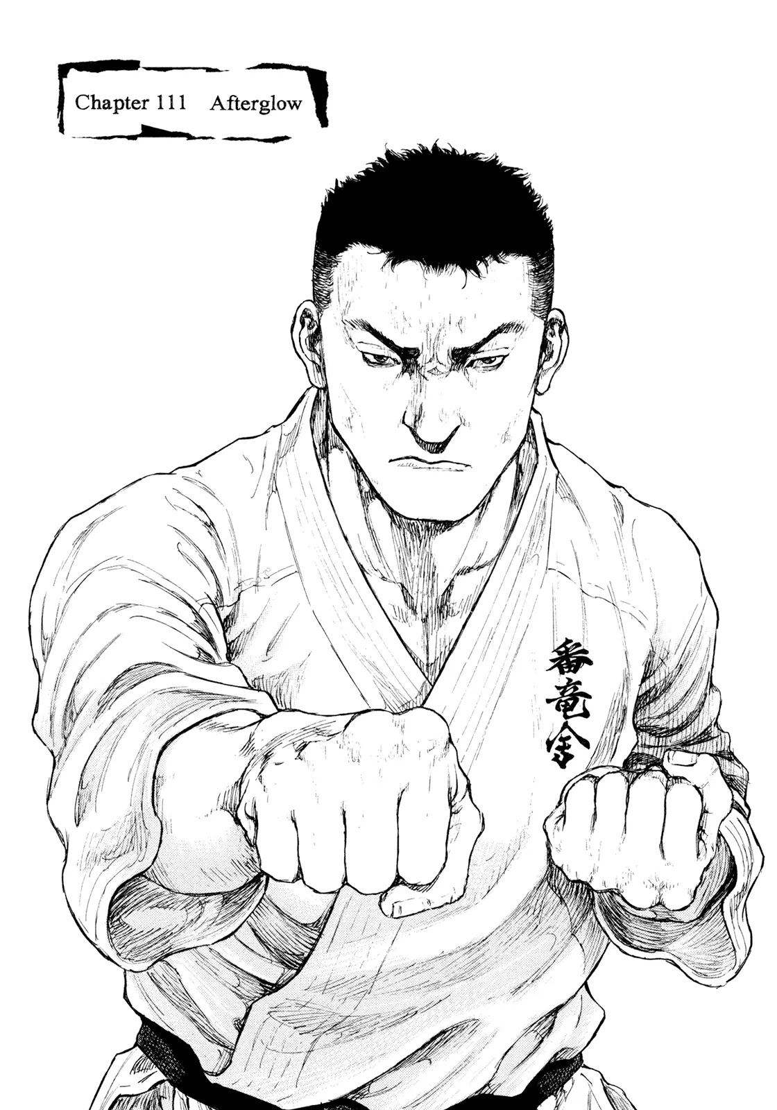 Shamo Vol.32 Chapter 111 page 1 - Vol.32 Chapter 111: Afterglow