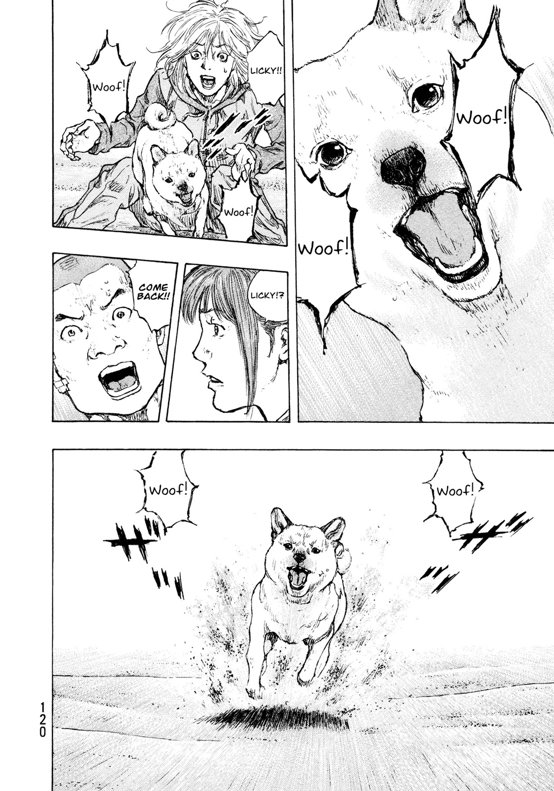 Shamo Chapter 32.113 page 14 - Vol.32 Chapter 113: Fall