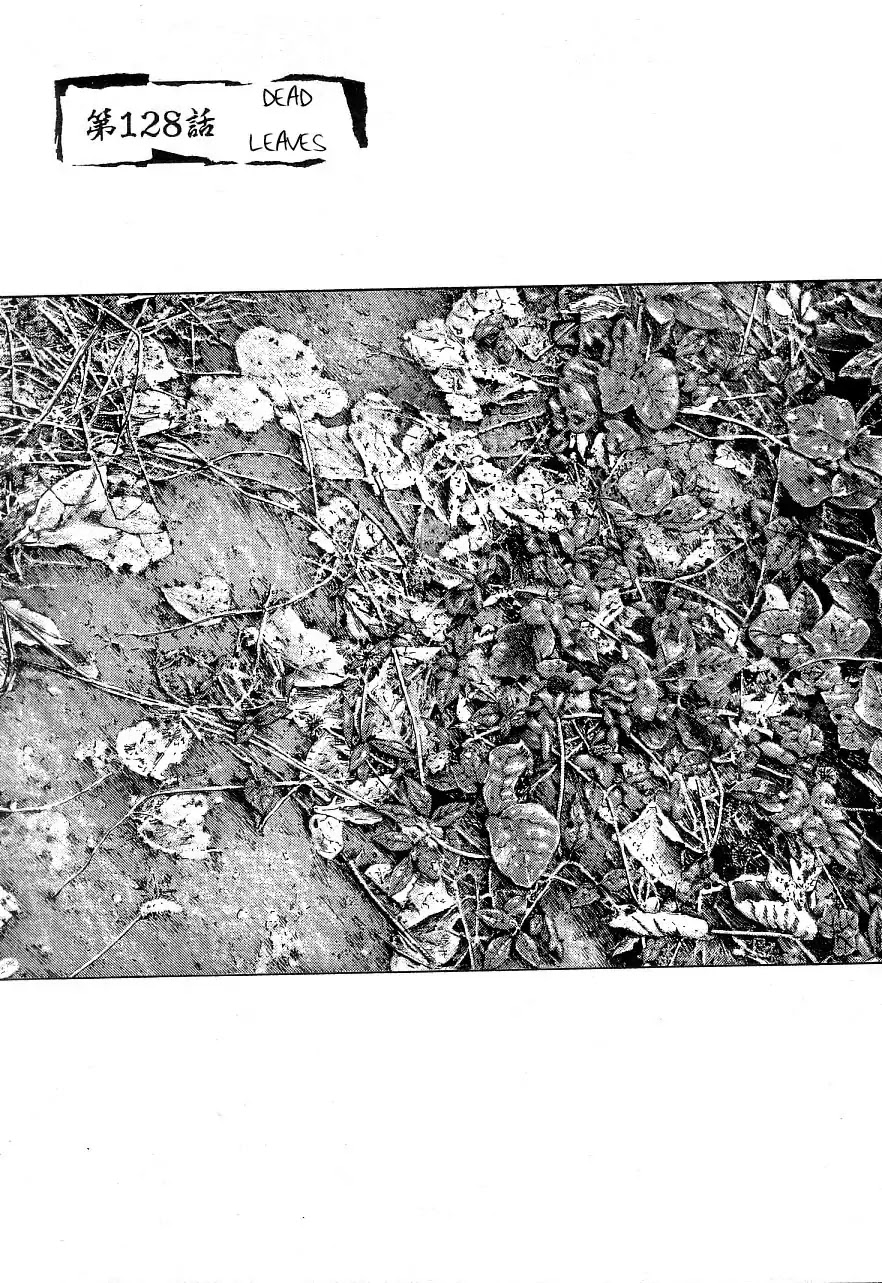 Shamo Chapter 34.128 page 1 - Vol.34 Chapter 128: Dead Leaves