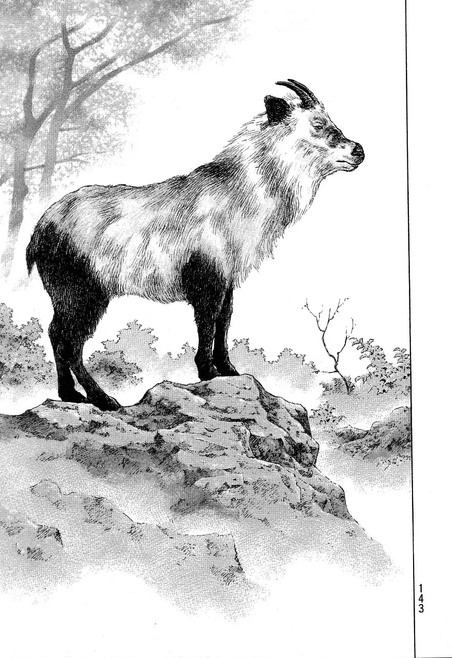 Shamo Chapter 34.132 page 16 - Vol.34 Chapter 132: Forest Spirit