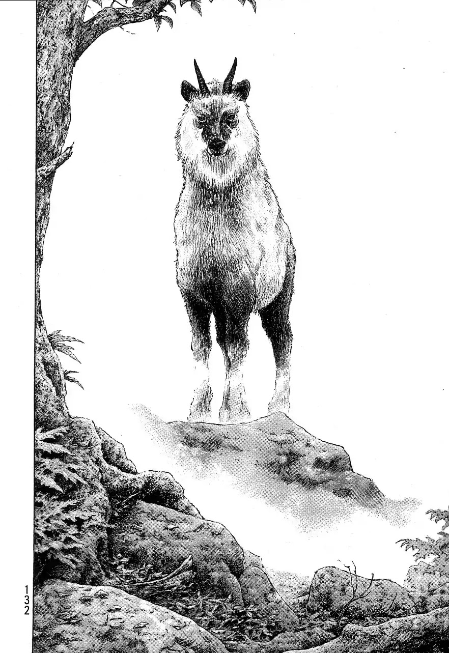Shamo Chapter 34.132 page 5 - Vol.34 Chapter 132: Forest Spirit