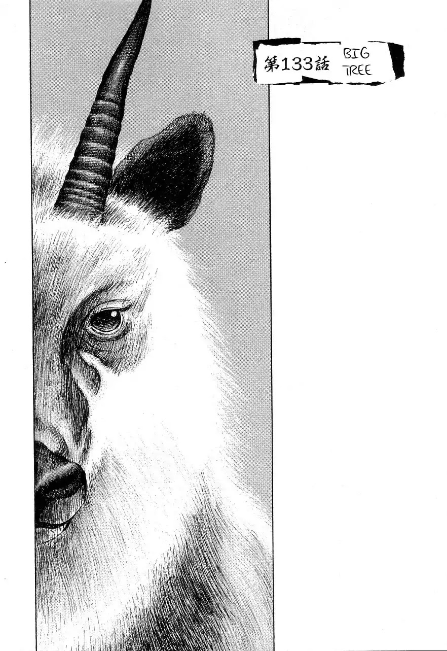 Shamo Chapter 34.133 page 1 - Vol.34 Chapter 133: Big Tree