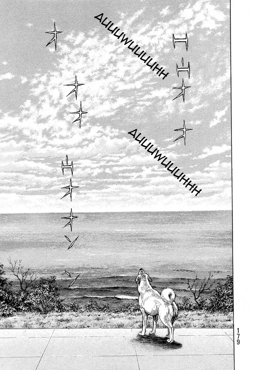 Shamo Chapter 34.134 page 10 - Vol.34 Chapter 134: The FInal Chapter [END]