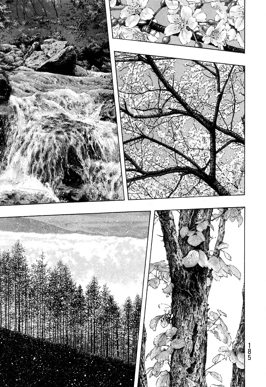 Shamo Chapter 34.134 page 15 - Vol.34 Chapter 134: The FInal Chapter [END]