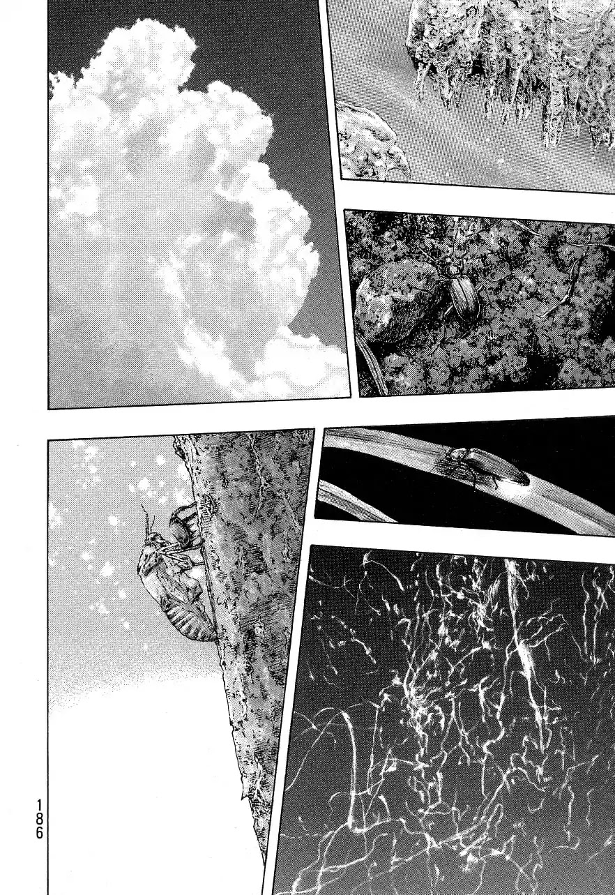 Shamo Chapter 34.134 page 16 - Vol.34 Chapter 134: The FInal Chapter [END]