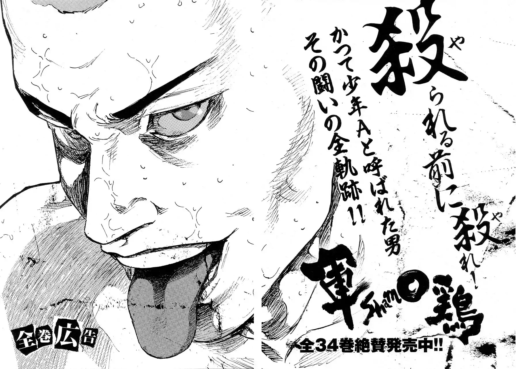 Shamo Chapter 34.134 page 21 - Vol.34 Chapter 134: The FInal Chapter [END]