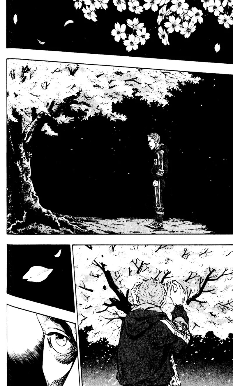 Shamo Vol.5 Chapter 42 page 12 - Vol.5 Chapter 42: Under a Blooming Sakura