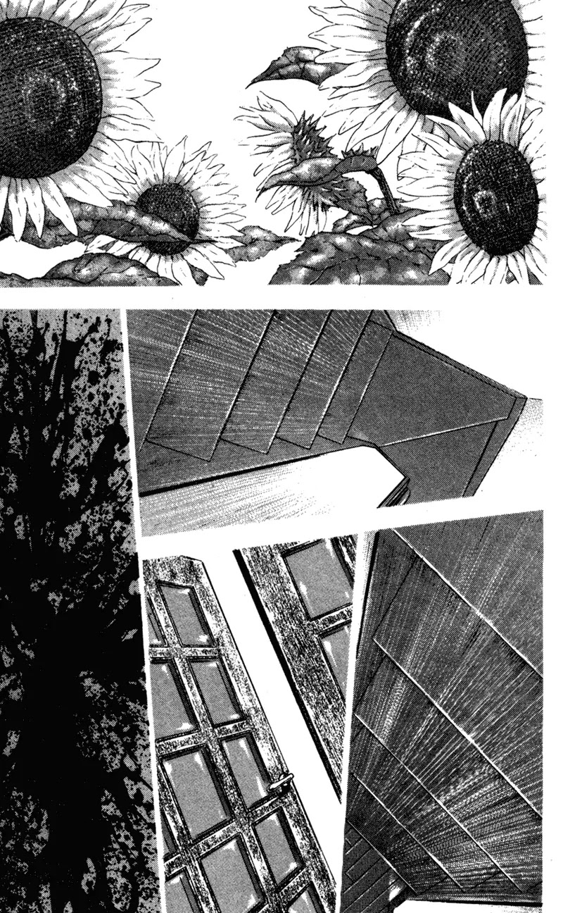 Shamo Vol.8 Chapter 71 page 7 - Vol.8 Chapter 71: Natsumi Today