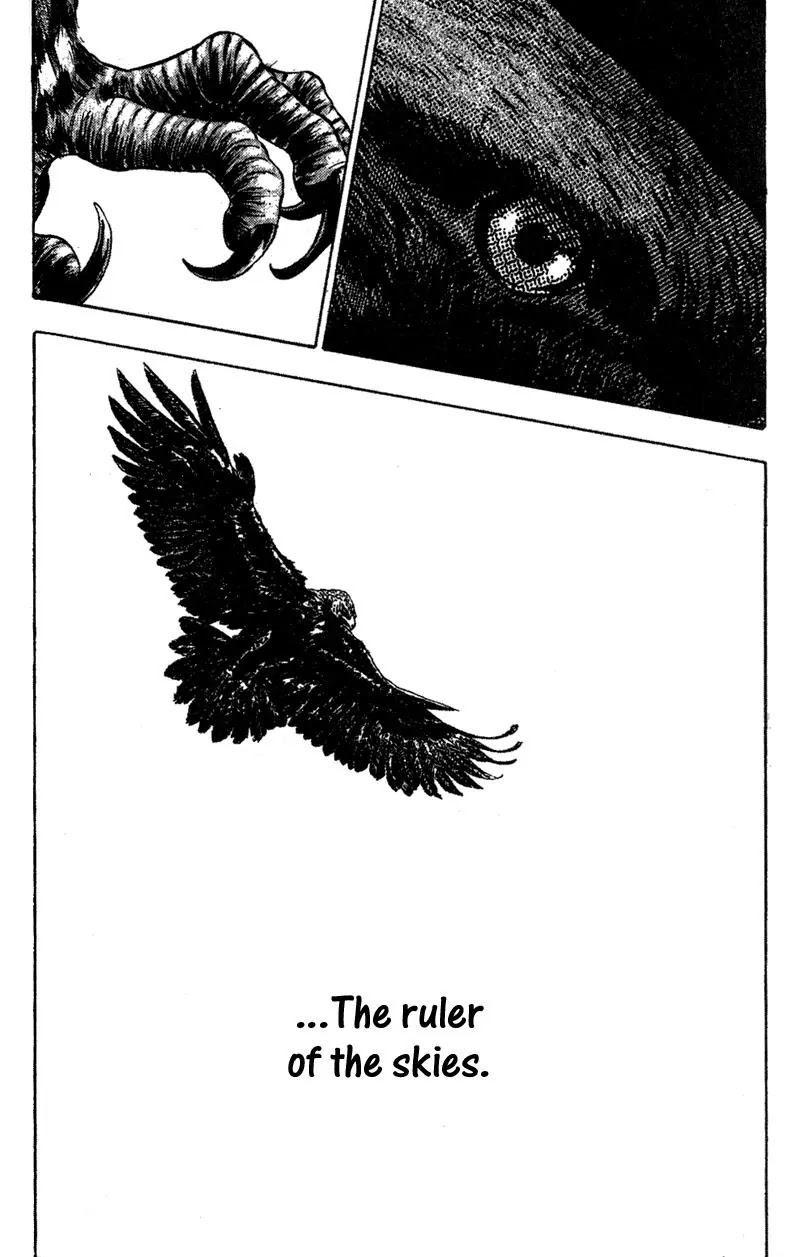 Shamo Vol.8 Chapter 80 page 9 - Vol.8 Chapter 80: Ruler of the Skies