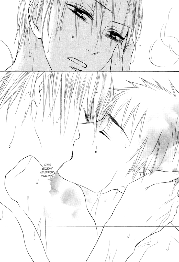 Shampoo Chapter 1.2 page 31 - Chapter 1 v2 : Shampoo