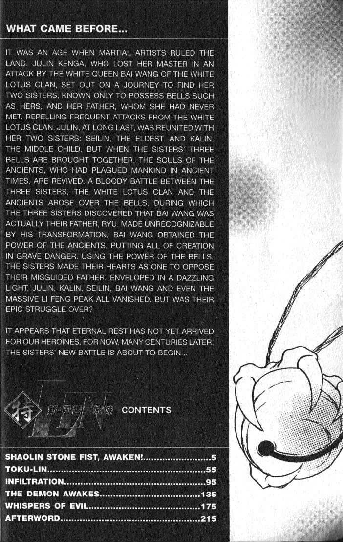 Shaolin Sisters: Reborn Chapter 1 page 3 - Chapter 1 : Shaolin Stone Fist, Awaken!
