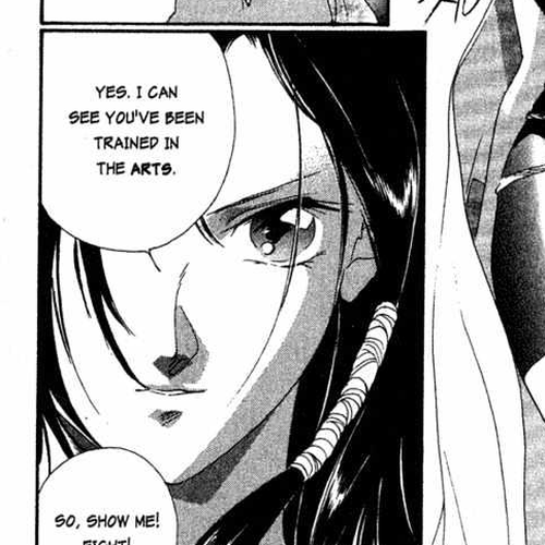 Shaolin Sisters Vol.01 Chapter 5 cover