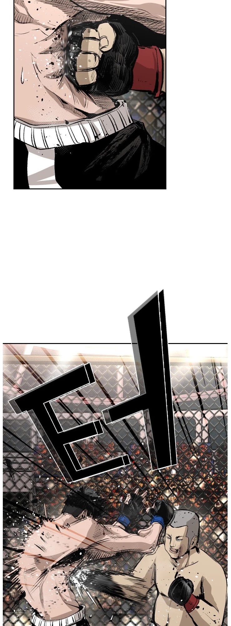 Shark Chapter 146 page 24 - Chapter 146