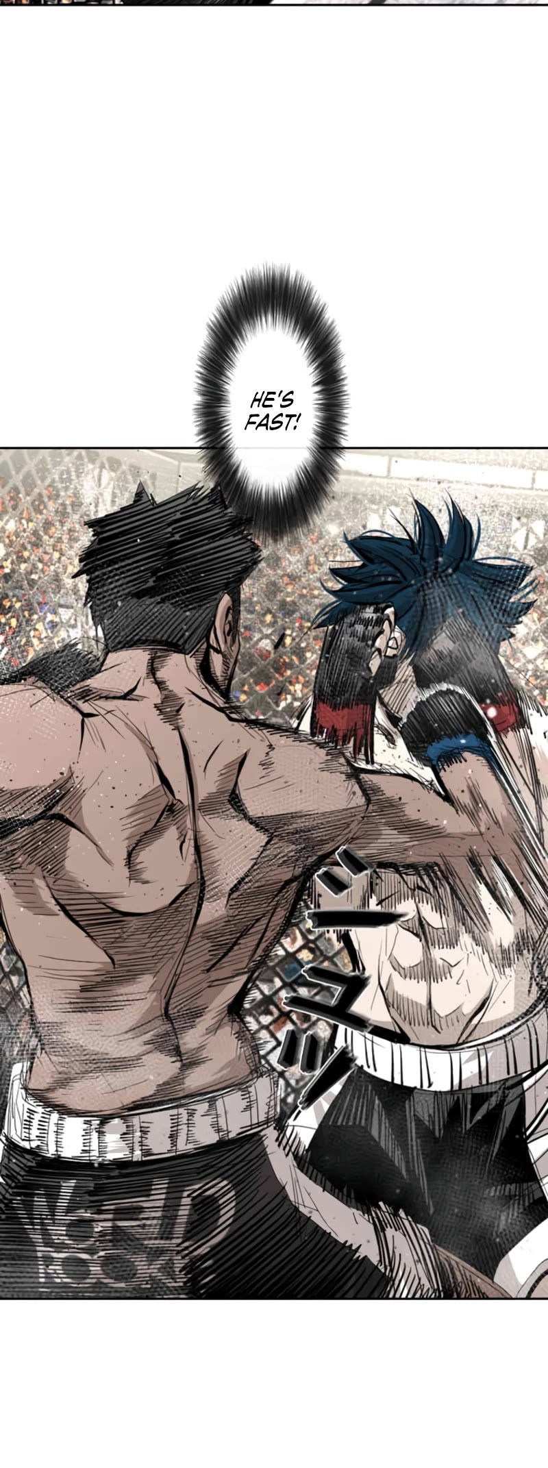 Shark Chapter 161 page 12 - Chapter 161