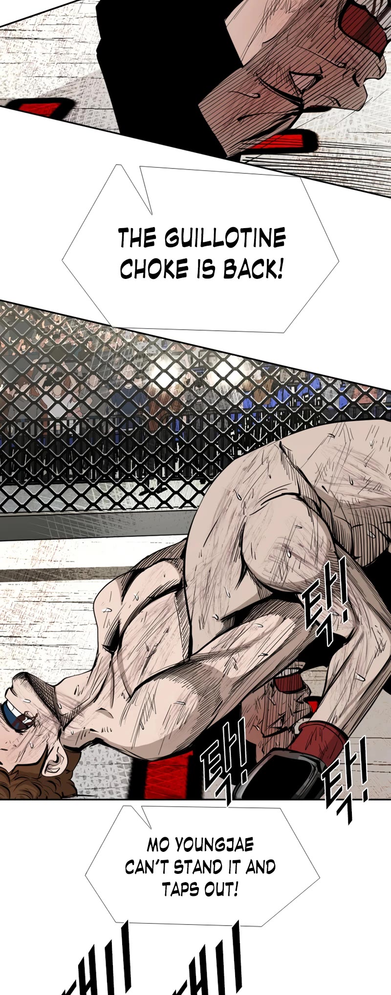 Shark Chapter 166 page 17 - Chapter 166