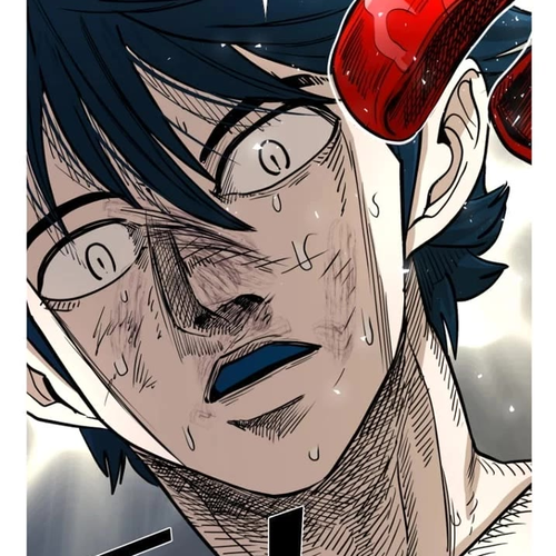 Shark Chapter 262 cover