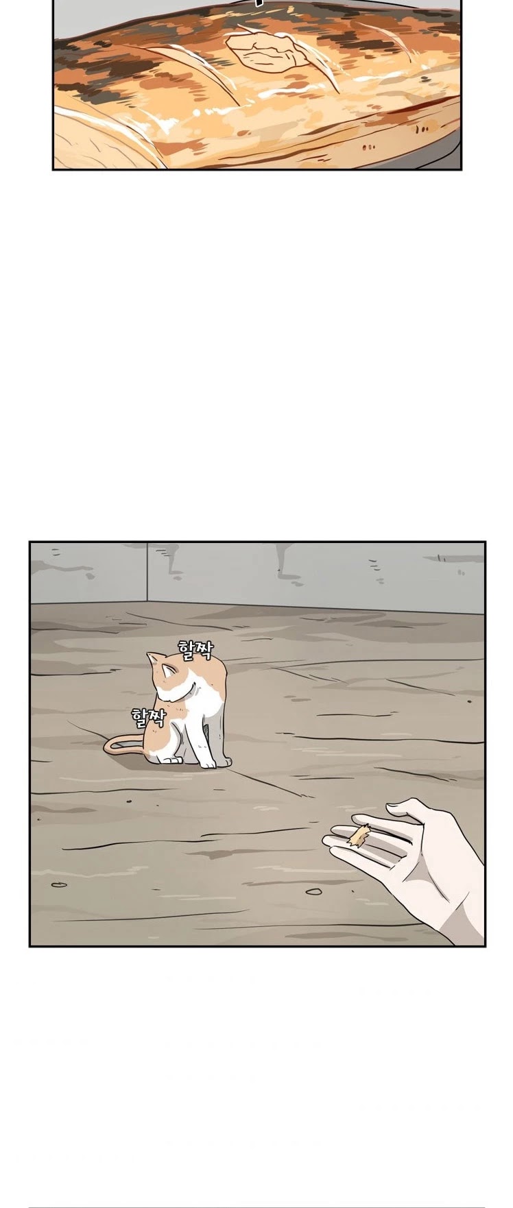 Shark Chapter 47 page 28 - Chapter 47