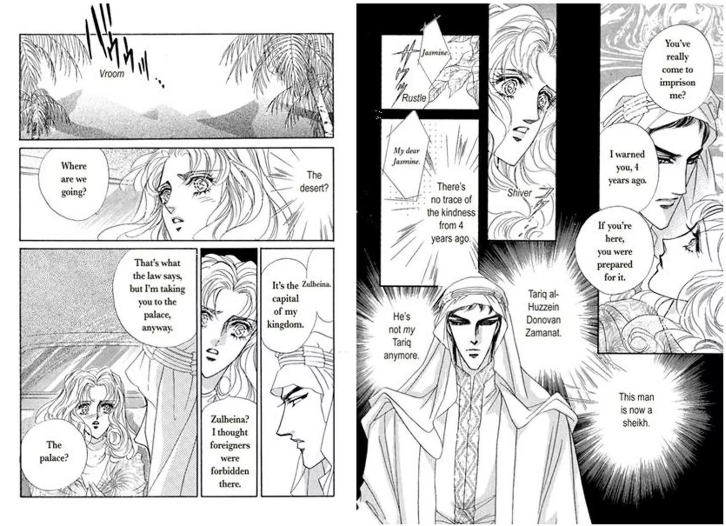 Sheikh ni Sarawarete Chapter 1 page 11 - Chapter 1