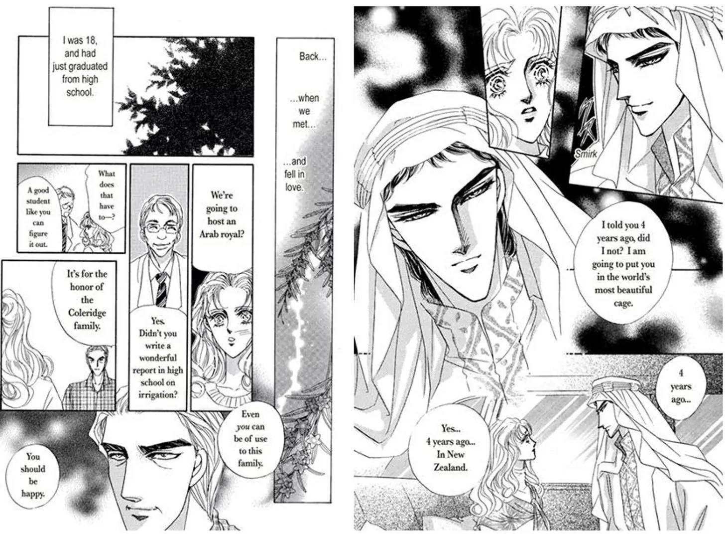 Sheikh ni Sarawarete Chapter 1 page 12 - Chapter 1