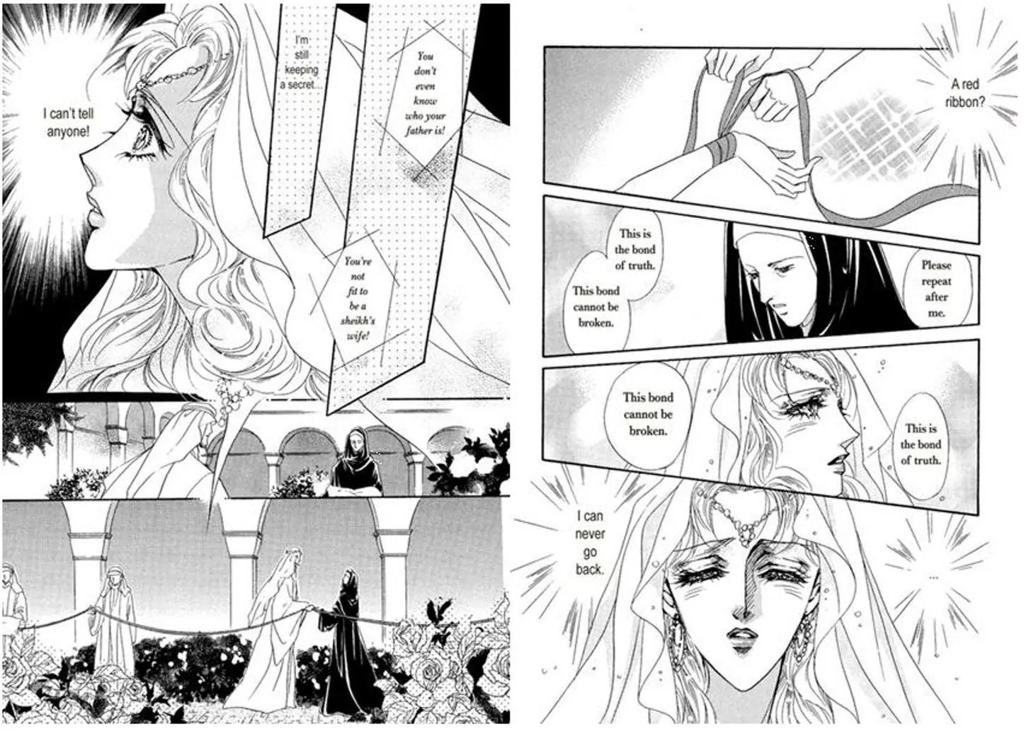 Sheikh ni Sarawarete Chapter 1 page 25 - Chapter 1