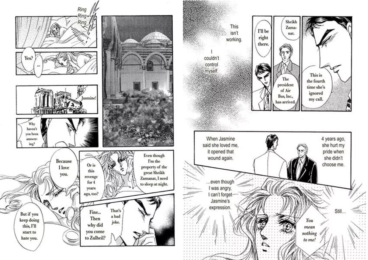 Sheikh ni Sarawarete Chapter 1 page 41 - Chapter 1