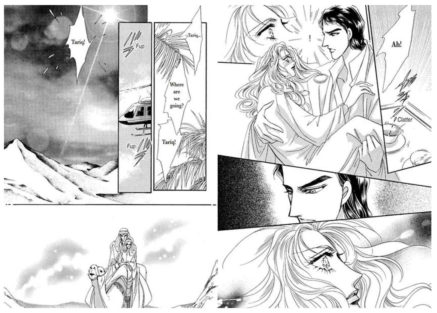 Sheikh ni Sarawarete Chapter 1 page 43 - Chapter 1