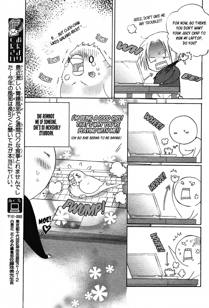 Shiawase Lawn Chapter 2 page 2 - Chapter 2: Offense and Defense in Front of the Monitor