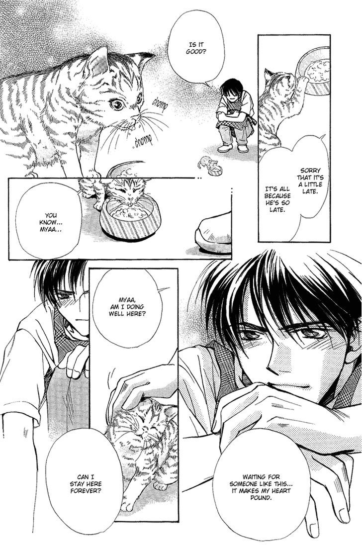 Shiawase no Category Chapter 2 page 18 - Chapter 2