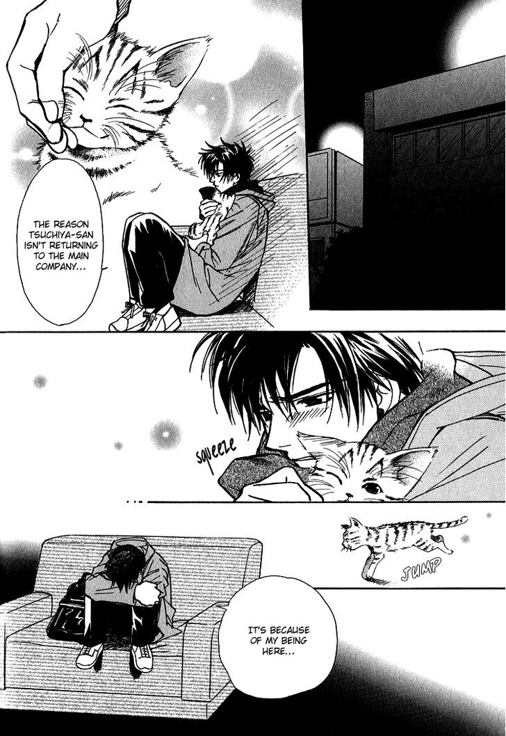 Shiawase no Category Chapter 4 page 24 - Chapter 4