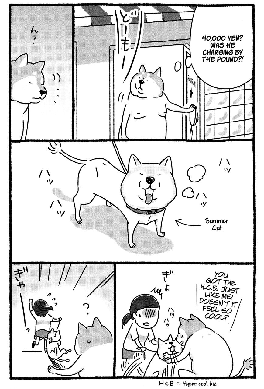 Shiba Occhan Chapter 10 page 8 - Chapter 10 : Hyper Cool Biz
