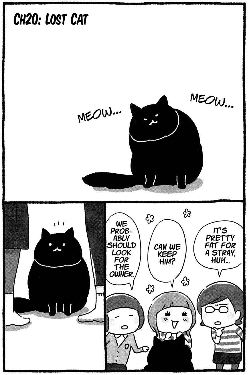 Shiba Occhan Chapter 20 page 1 - Chapter 20 : Stray Cat