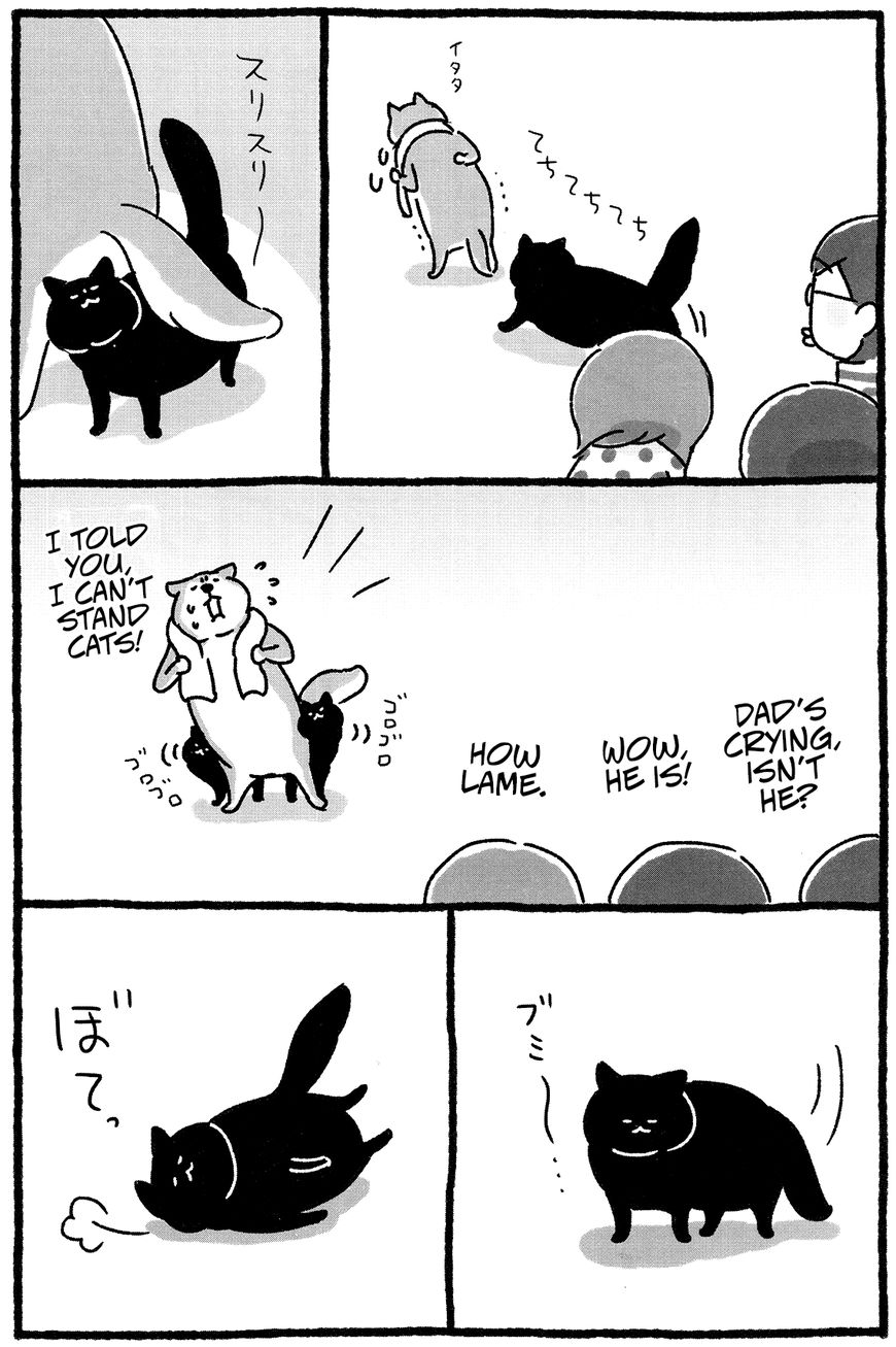 Shiba Occhan Chapter 20 page 2 - Chapter 20 : Stray Cat