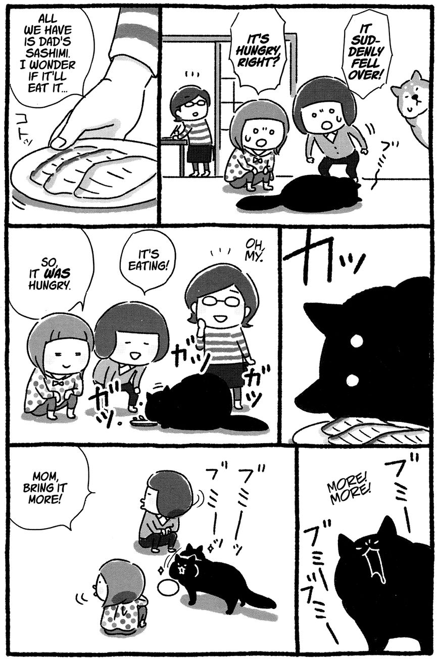 Shiba Occhan Chapter 20 page 3 - Chapter 20 : Stray Cat