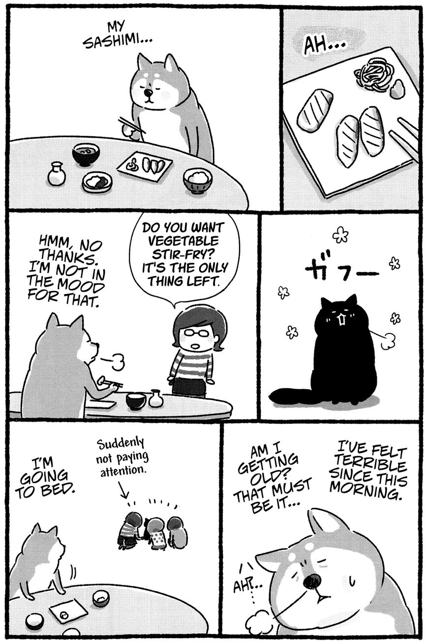 Shiba Occhan Chapter 20 page 4 - Chapter 20 : Stray Cat