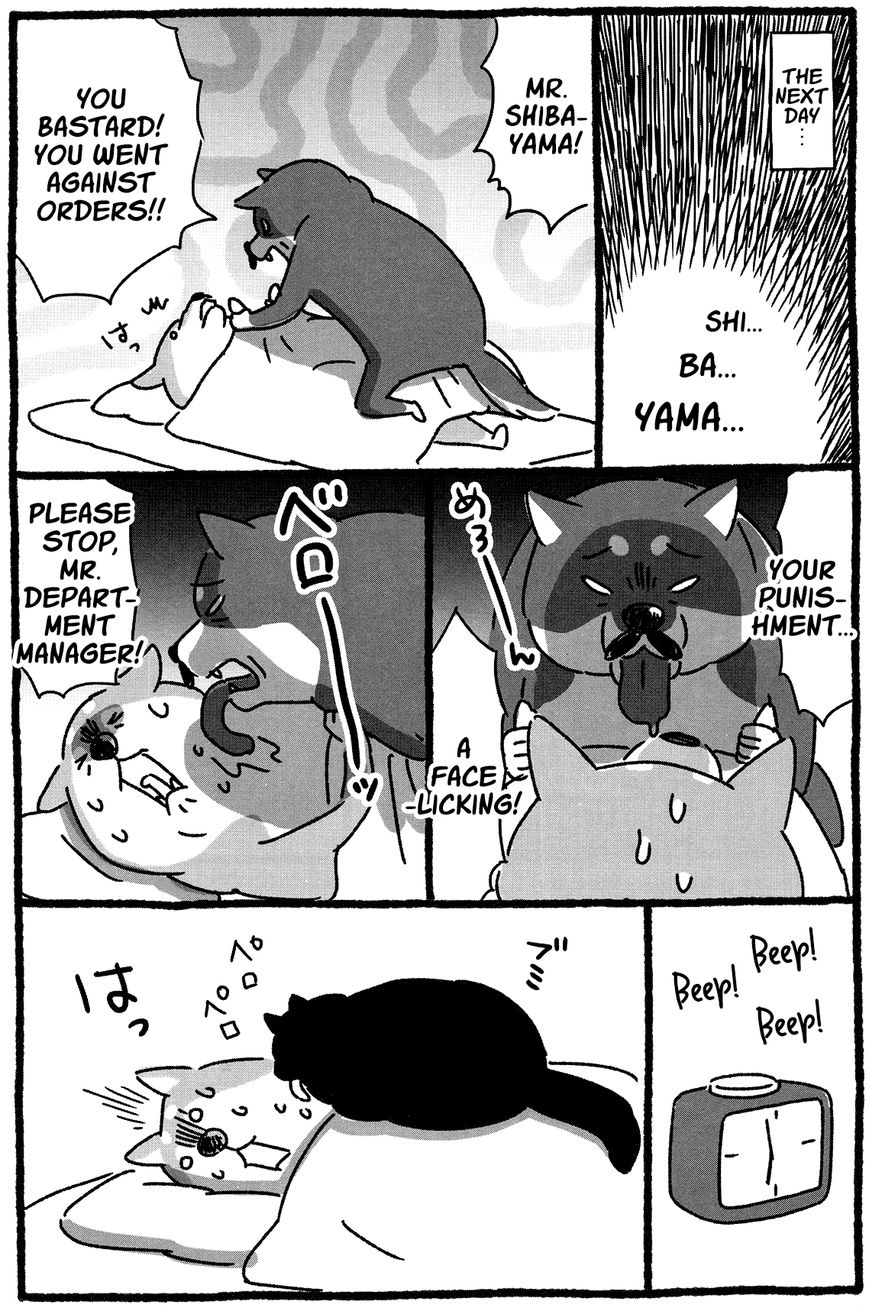 Shiba Occhan Chapter 20 page 5 - Chapter 20 : Stray Cat