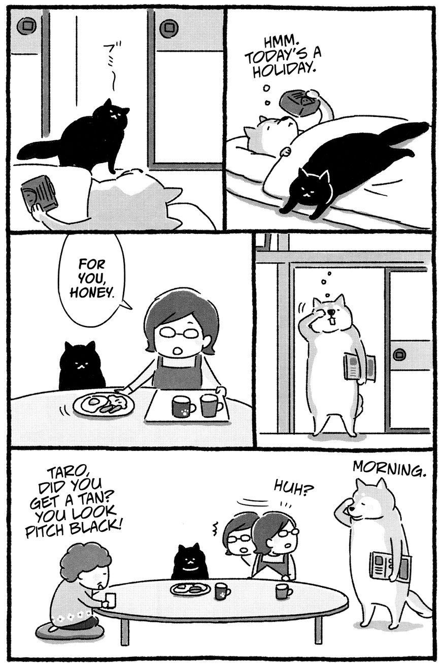Shiba Occhan Chapter 20 page 6 - Chapter 20 : Stray Cat