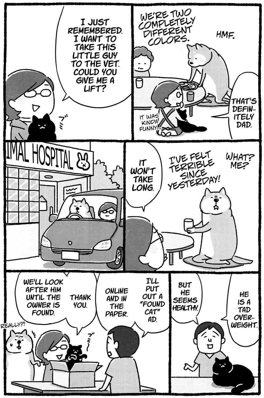 Shiba Occhan Chapter 20 page 7 - Chapter 20 : Stray Cat