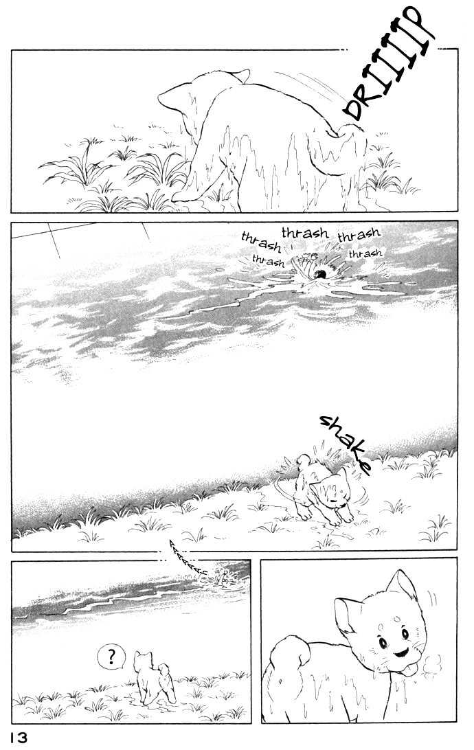ShibaO Chapter 1 page 13 - Chapter 1 : Road 1 : Salary-Man K
