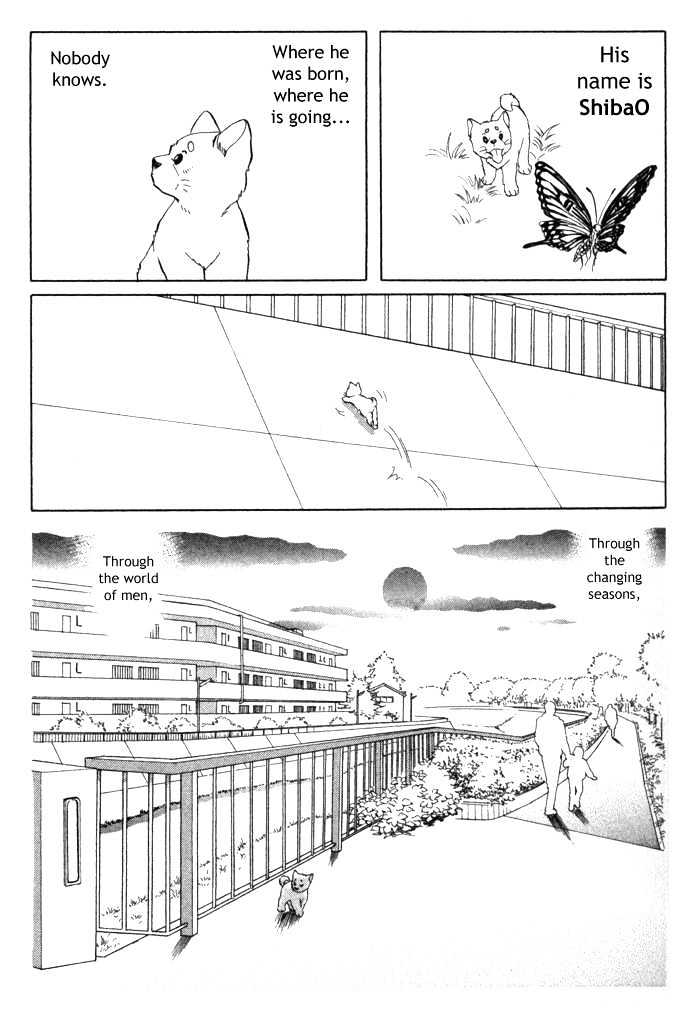 ShibaO Chapter 1 page 15 - Chapter 1 : Road 1 : Salary-Man K