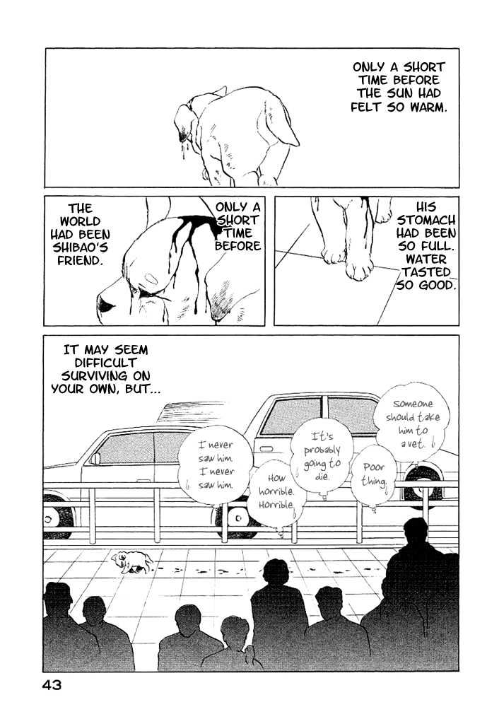 ShibaO Chapter 3 page 14 - Chapter 3 : Road 3 : ShibaO, The Wandering Dog