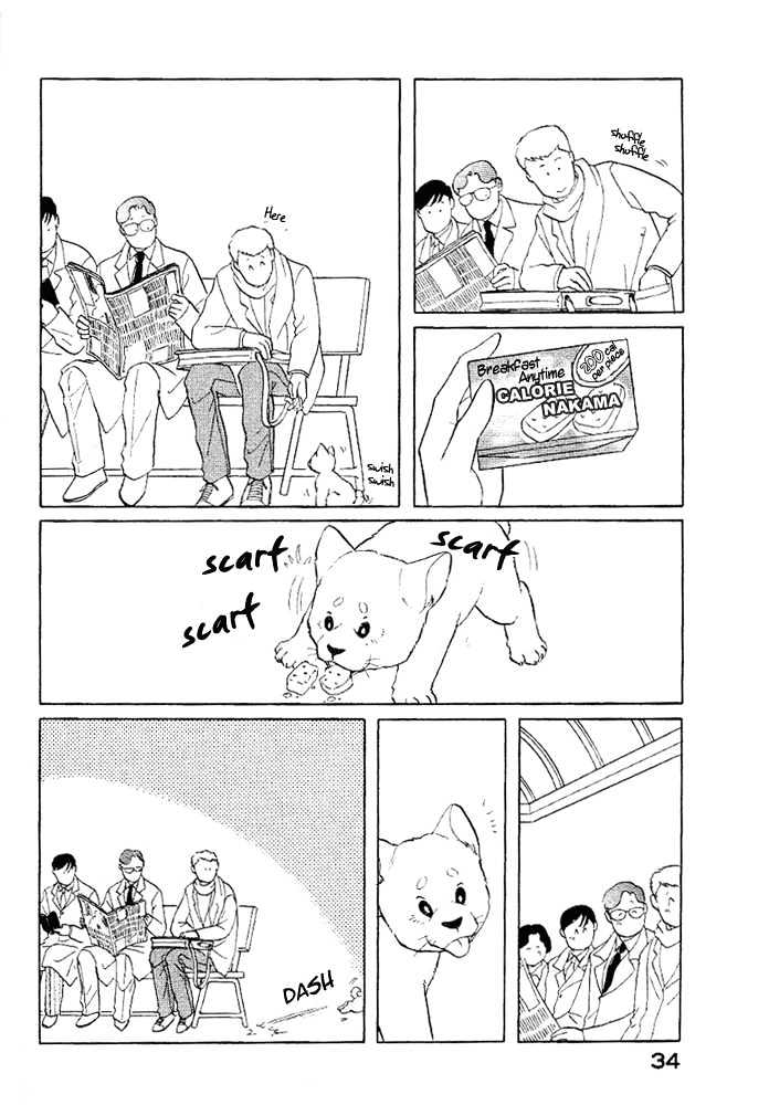 ShibaO Chapter 3 page 5 - Chapter 3 : Road 3 : ShibaO, The Wandering Dog