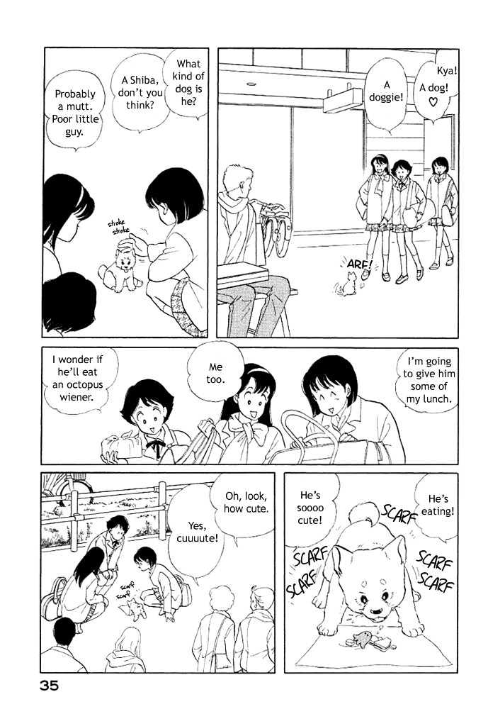 ShibaO Chapter 3 page 6 - Chapter 3 : Road 3 : ShibaO, The Wandering Dog