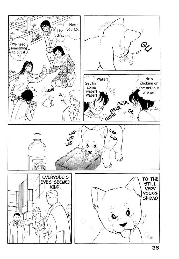 ShibaO Chapter 3 page 7 - Chapter 3 : Road 3 : ShibaO, The Wandering Dog