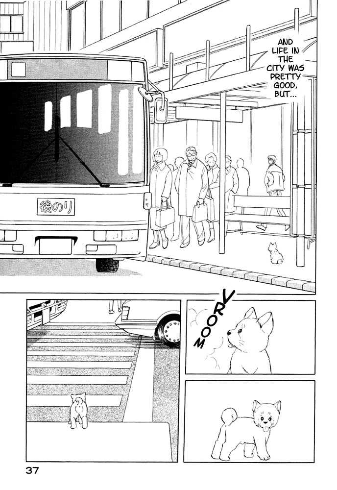 ShibaO Chapter 3 page 8 - Chapter 3 : Road 3 : ShibaO, The Wandering Dog