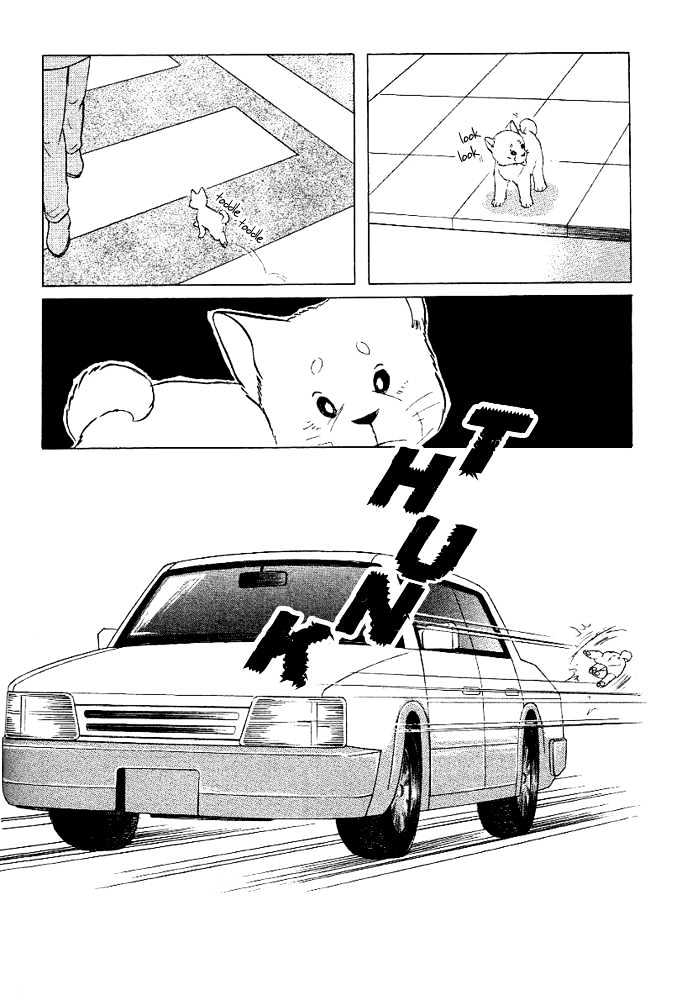 ShibaO Chapter 3 page 9 - Chapter 3 : Road 3 : ShibaO, The Wandering Dog