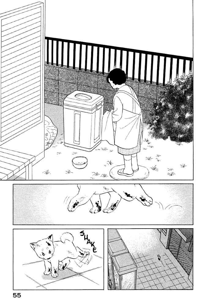 ShibaO Chapter 4 page 12 - Chapter 4 : Road 4 : Lady A