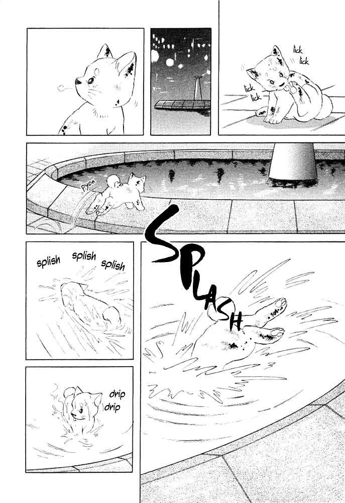 ShibaO Chapter 4 page 13 - Chapter 4 : Road 4 : Lady A