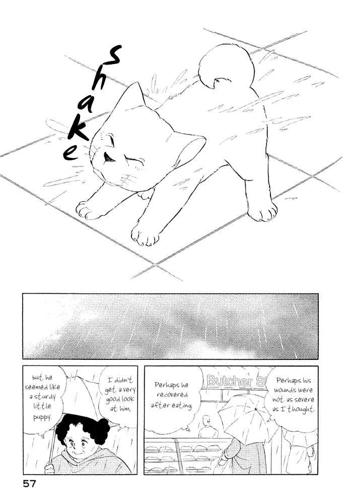 ShibaO Chapter 4 page 14 - Chapter 4 : Road 4 : Lady A